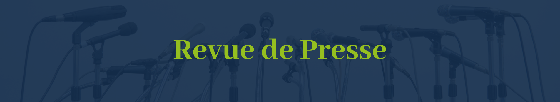 Article de presse Eco Tempo